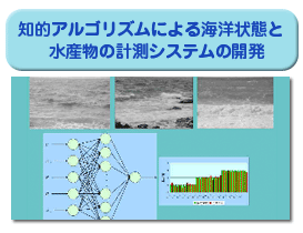 知的アルゴリズムによる海洋状態と水産物の計測システムの開発