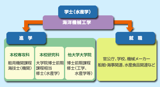海洋機械工学科の進路の流れの図