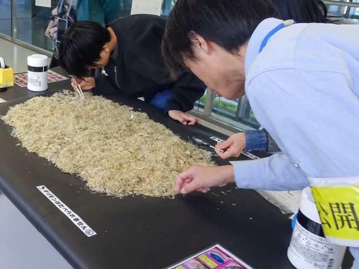 出前講座の様子