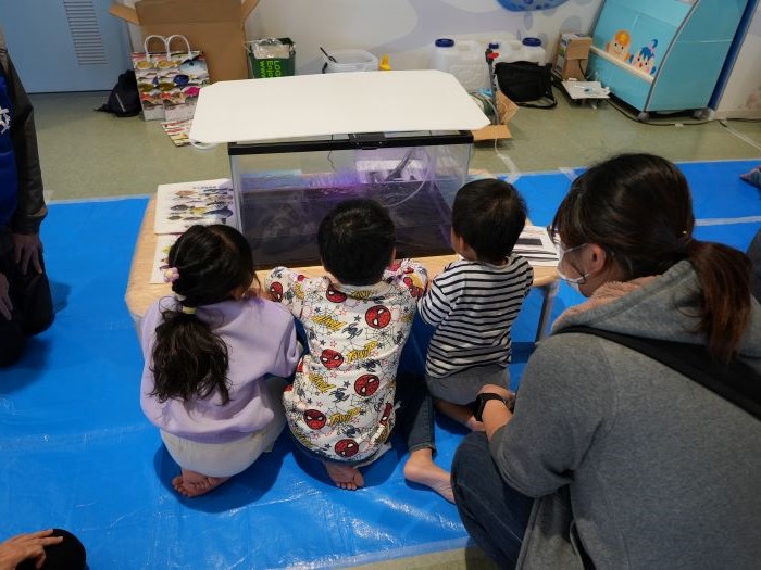 水槽を見つめる子供の写真