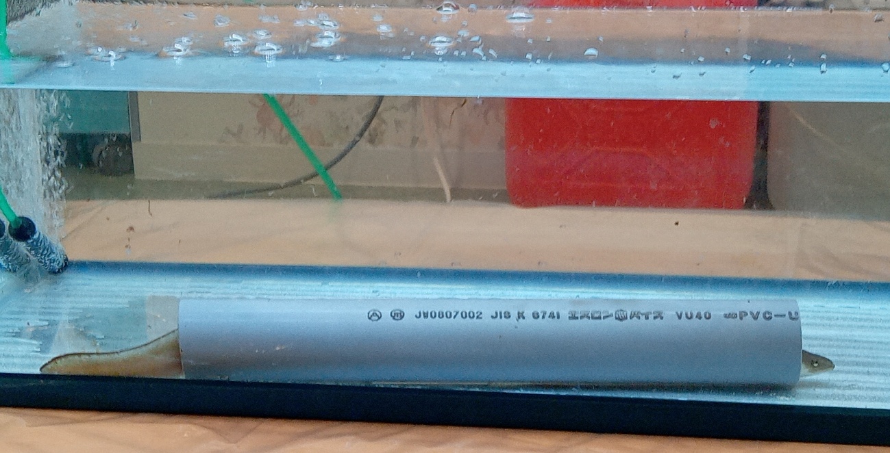 地域連携イベントの写真