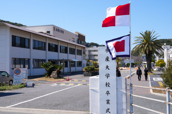 校門とご安航を意味する信号旗